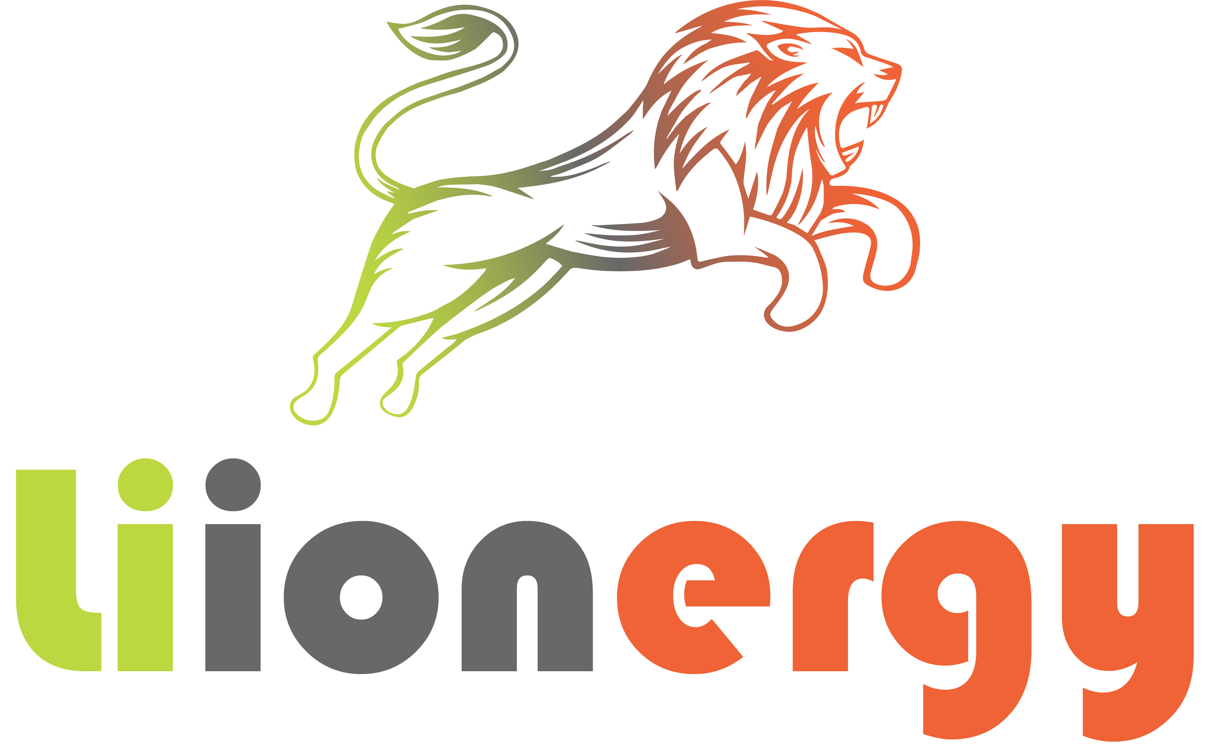 Liionergy Manufacturing